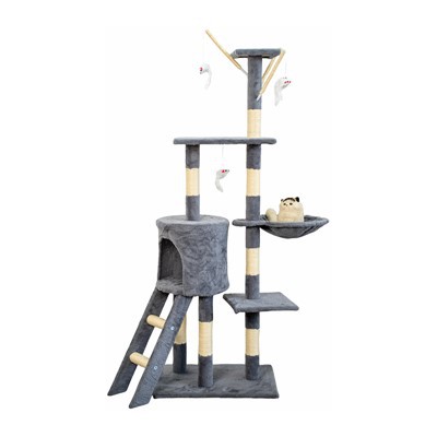 छिपे हुए खोखले बिल्ली के पेड़